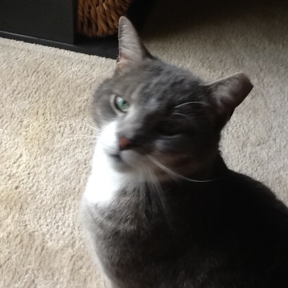 Meet your Posher, Pat - Picture 3 of 7